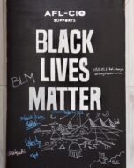 Race and Civil Rights