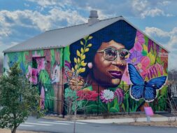 Civil Rights Activist