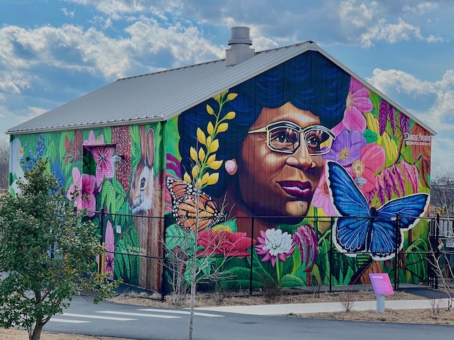 Civil Rights Activist