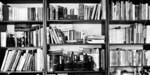 2025 Multi-Day Seminar Recap